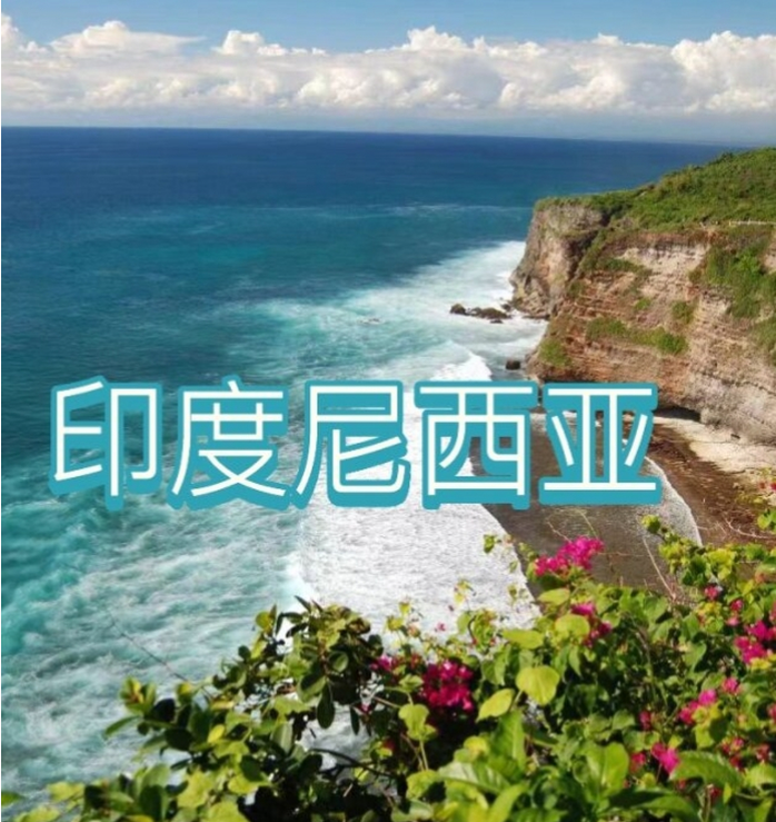 国国际电商(印尼)产业博览会澳门新葡京app2025中(图3) 国国际电商(印尼)产业博览会澳门新葡京app2025中(图3)