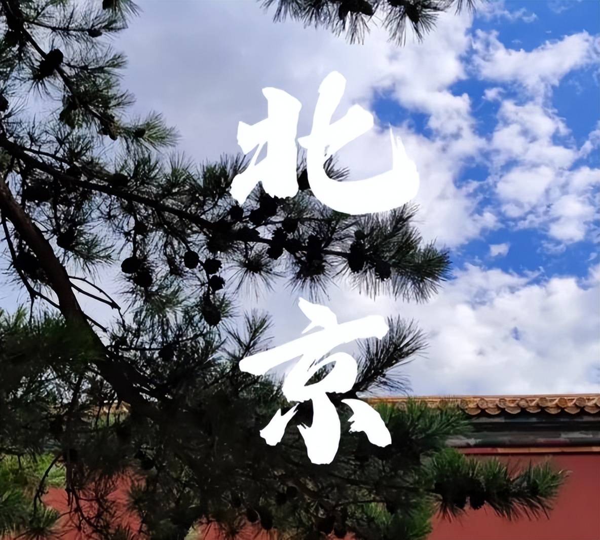 10权威榜单真靠谱零差评零投诉（文旅局认证）澳门新葡京2026年度北京靠谱旅行社TOP(图3)